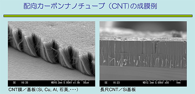 配向カーボンナノチューブ（CNT）の成膜例